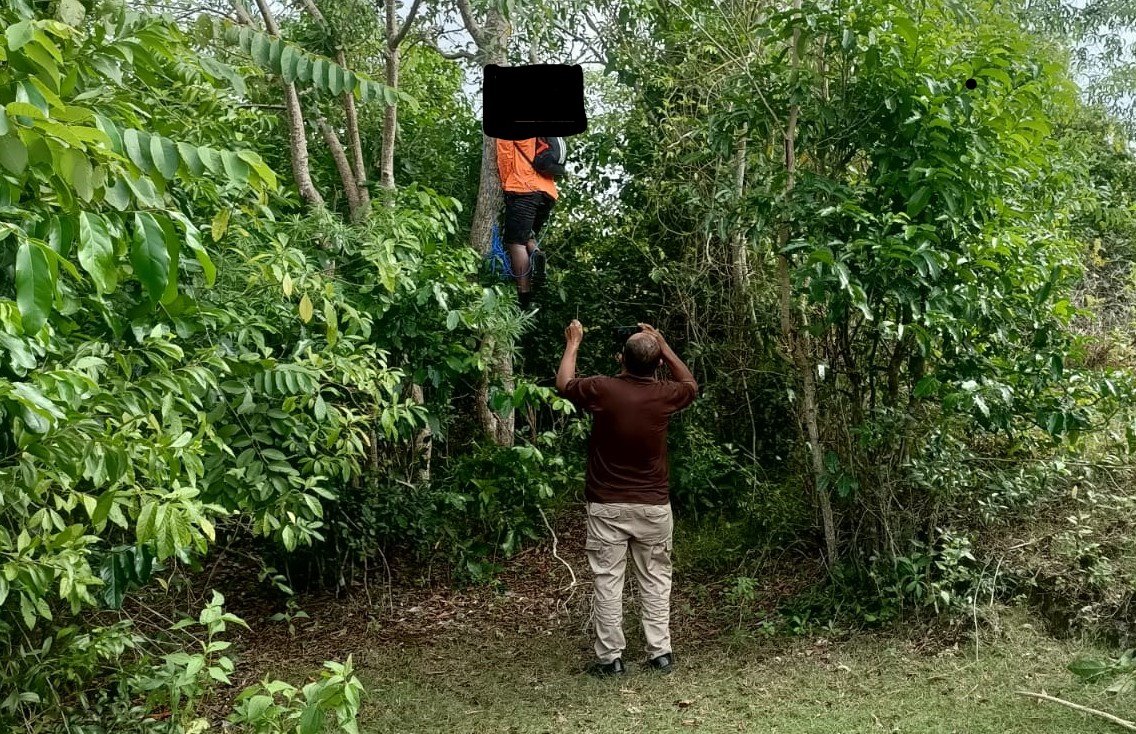 Penggembala Sapi Temukan Bule Tewas Gantung Diri di Lahan Kosong